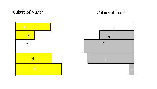 Simplified representation of cultures